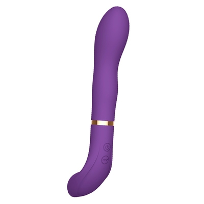 여성 USB 재충전이 가능한 항문부이고 질 진동자를 위한 초강대국 남근 대용품 진동자