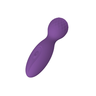 FDA 실리콘 빨간 4 인치 남근 대용품 신체 막대 마사지사 핑크색 무선 뒤 마사지사 IPX6